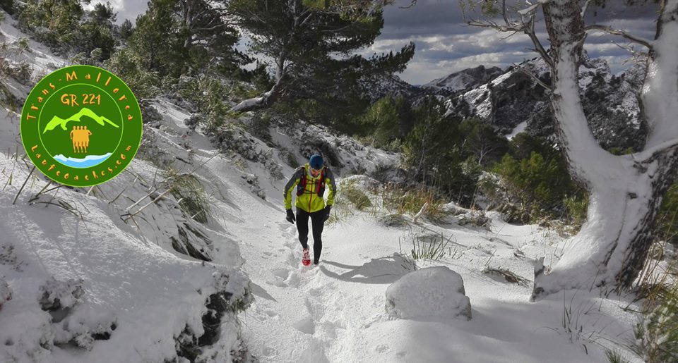 24174286_1741072135936702_2599474567096704434_n